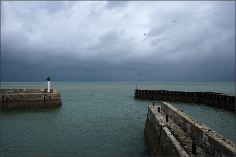 José Manuel Pires Dias - Virvoltant-dans-le-port-de-St-Martin-en-Re-Jose-Manuel-Pires-Dias